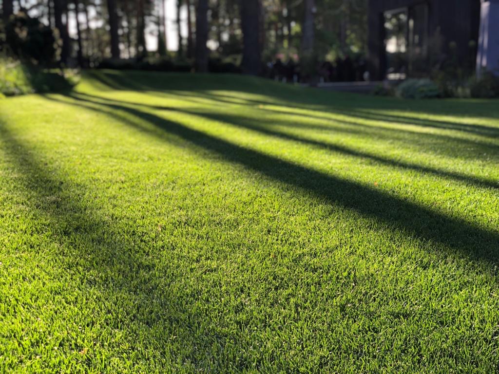 “Labie Koki” are in favour of good turf!
